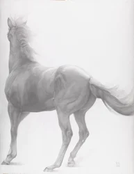 Kicking Off, Series 2, 2012